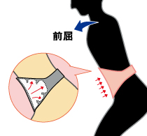 腰痛ベルトhurontup_zenkutsu