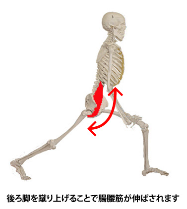 腸腰筋_名古屋_june16