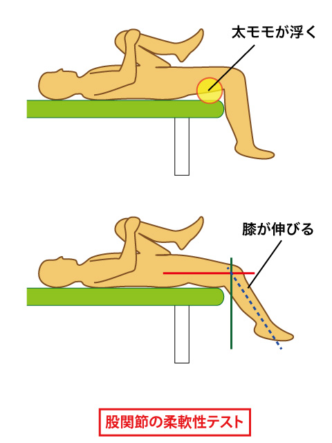 股関節のテスト