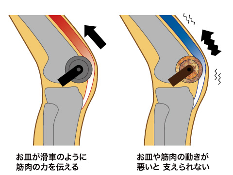 膝